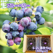 ブルーベリー 生 フレッシュ【青森県産 ブルーベリー S-2L混合1kg（500g×2）】八甲田山麓から朝摘み直送！暑い夏だからこそ食べたい、のどを潤す爽やかな甘さ！ アントシアニン たっぷり！まずは生のままお召し上がり下さい[※冷蔵便][※同梱不可]