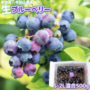 ブルーベリー 生 フレッシュ【青森県産 ブルーベリー S-2L混合500g】八甲田山麓から朝摘み直送！暑い夏だからこそ食べたい、のどを潤す爽やかな甘さ！ アントシアニン たっぷり！まずは生のままお召し上がり下さい[※冷蔵便][※同梱不可]