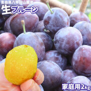 フレッシュ生 プルーン  送料無料 【青森県産 生プルーン 2kg】家庭用 フレッシュプルーンで取ろう！ 鉄分 ビタミン まるでサプリのようなフルーツ フレッシュプルーン（プラム） [※常温便][※産地直送のため同梱不可][※配送指定不可]