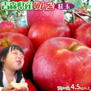 りんご 【青森県産りんご 紅玉 ファーム4.5kg以上】13-28玉 家庭用 送料無料 ゴールド農園 りんご リンゴ 訳アリ アップルパイ[※常温便][※産地直送のため同梱不可]