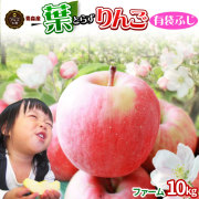 葉っぱの影は甘さのサイン【葉とらずりんご ふじ（有袋）ファーム10kg】家庭用(26-46玉) 青森産 リンゴ 林檎 アップル 訳あり 青森りんご  [※産地直送品同梱不可][冷蔵便]