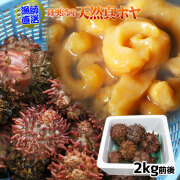 青森県陸奥湾産 天然ほや 活きたまま出荷 【天然 殻付きホヤ 2kg前後4-10個】 送料無料 鮮度が命の漁師直送便 殻ホヤ ホヤ 殻ほや ほや [※冷蔵便][※産地直送のため同梱不可]