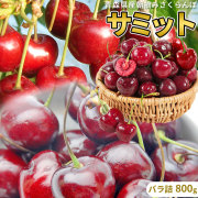 さくらんぼ 送料無料 【青森県産 さくらんぼ サミット バラ詰め800g L以上】 サイズ混合 お中元 [※産地直送のため同梱不可][※冷蔵便]