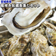 ≪送料無料≫活きたまま発送！宮城県産【殻付き牡蠣 缶蒸しセット】（15個入り）自宅が牡蠣小屋に！鮮度抜群☆産地の旨さをまるごと堪能できるガンガン焼きセット[※冷蔵便][※他商品と同梱不可]