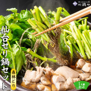 仙台セリ 鍋 鶏肉 産地直送【森林どり1人前 せり鍋セット】《1人1セット限定》 特産仙台セリ・森林どり・漁亭浜や特製自家製だし  根っこまで食べられる 郷土料理「せり鍋」セット  閖上浜 冬 お歳暮 ギフト [※冷蔵便]