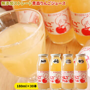 青森 りんごランド【ストレートりんごジュース30本】完熟葉とらずりんごを搾っただけ！果汁100％りんごそのままの味が楽しめます[※産地直送のため同梱不可]
