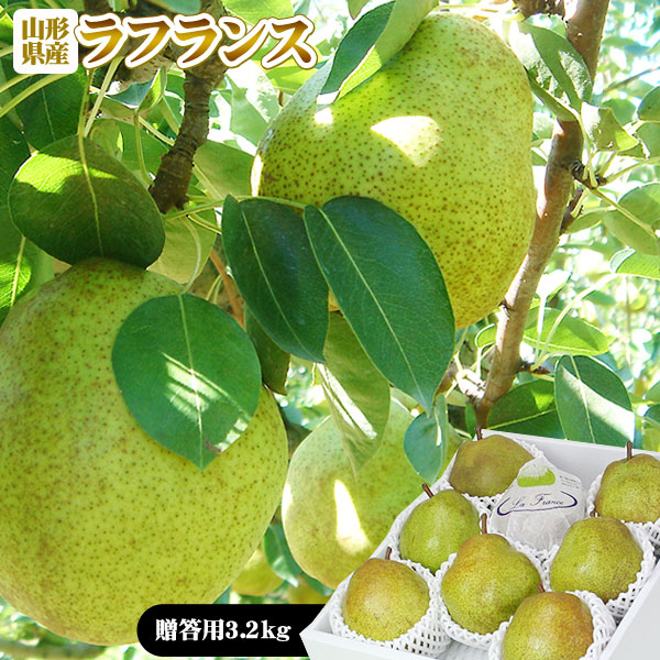 ラフランス 贈答用 送料無料 【山形県産西洋梨 セレクション ラ・フランス 3.2kg】8-9玉(4L-5L)化粧箱入 [※産地直送のため他商品との同梱不可]