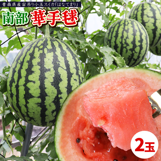小玉スイカ 送料無料 【青森県産 小玉すいか 南部華手毬 2玉】 食べ応えのあるシャリ感としっかりとした果肉 大向農園から直送 スイカ すいか 西瓜 [※同梱不可][※配送指定不可・ご予約順の発送]