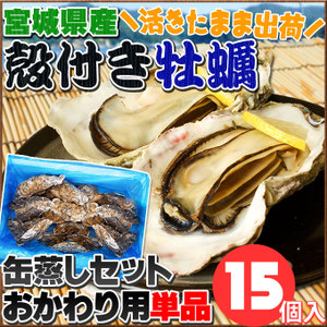 活きたまま発送！宮城県産【殻付き牡蠣 同梱用単品】(缶無し15個詰め) 鮮度抜群☆産地の旨さをまるごと堪能できるガンガン焼きセットおかわり用単品販売。[※冷蔵便][※他商品と同梱不可]