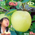 葉っぱの影は甘さのサイン 【葉とらずりんご 王林１０kg ファーム】 家庭用(13-23玉×2段) 本場青森 GOLD農園 送料無料 ゴールド農園から産直新鮮便 リンゴ 林檎 アップル 訳あり 青森りんご [産地直送同梱不可]「GOLD」