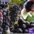 【青森県鶴田町産 スチューベンぶどう2kg】(7-9房入 サイズM-2L混合) 特秀 贈答用 送料無料 青森県 鶴田町産 冬のぶどう スチューベン  津軽ブランド つるたスチューベン 世界を知る醸造家が贈る伝統の味 スリーファームから産地直送 [※常温便][※産地直送のため同梱不可]