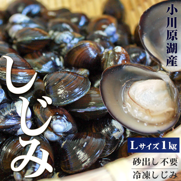 青森 しじみ貝 販売 送料無料 【小川原湖産 冷凍しじみ Lサイズ1kg（500g×2パック）】 便利な小分けタイプ 旨みたっぷり濃厚な出汁が出る小川原湖産のしじみ貝[※冷凍便][※他商品との同梱不可]