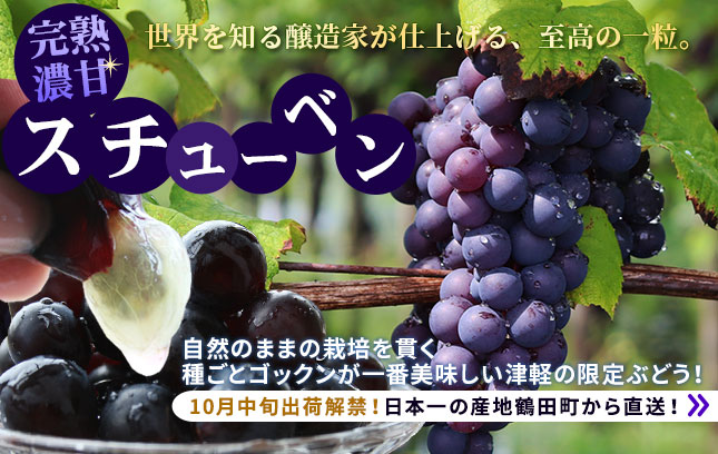 青森りんご 嶽きみ 産地直送 通販専門店 かめあし商店におまかせ