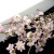 啓翁桜