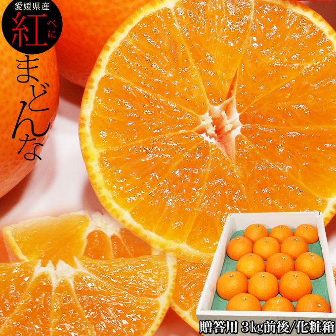 ゼリーのようなプルプル みかん 【愛媛県産みかん 紅まどんな 化粧箱3kg前後】送料無料 12～16玉 紅まどんな 贈答 お歳暮 みかん ギフト[※市場直送品のため同梱不可]