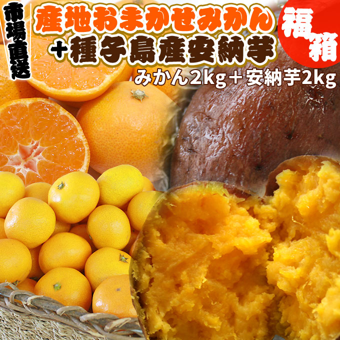 安納芋 みかん 夢の詰め合わせ 福袋 送料無料【安納芋2kg＋産地おまかせ みかん箱2kg】よくばり 福袋 とろける蜜芋とみかんがコラボ[※市場直送・同梱不可]