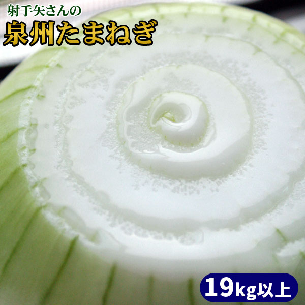 たまねぎ 名人 射手矢さんが作る絶品 【泉州たまねぎ 19kg以上（40～80玉）】 送料無料 驚くほどのみずみずしさと甘さ 玉ねぎ タマネギ [※大阪より直送][※他商品との同梱不可]