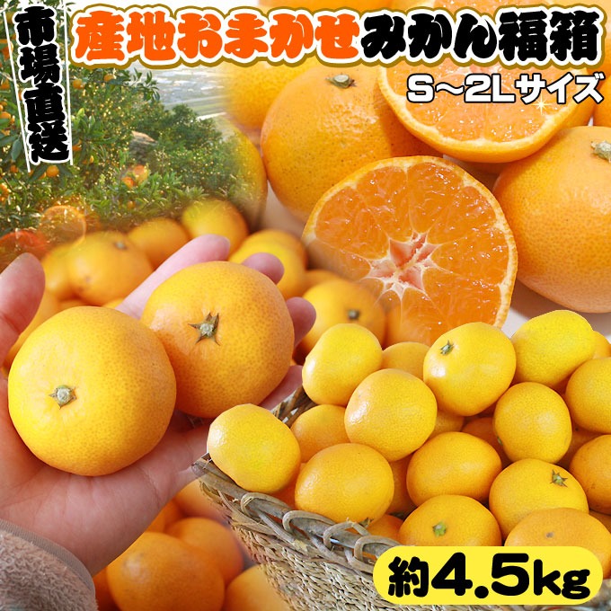 みかん 送料無料 【産地おまかせ みかん福箱4.5kg】S-2Lサイズ 愛媛産 和歌山産 広島産 いずれか選んでお届けします★[※市場直送品のため同梱不可]