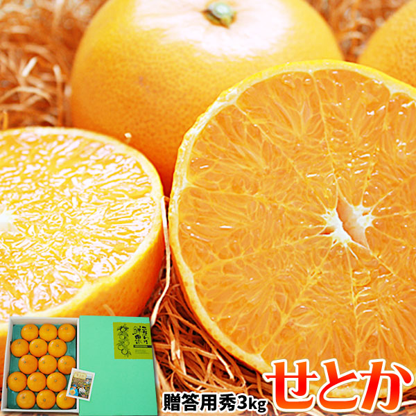 【プレミアム みかん せとか 秀約3kg 化粧箱】(L～3L 約10～15玉 愛媛県・広島県・和歌山県産)送料無料 [※常温便][※他商品との同梱不可]