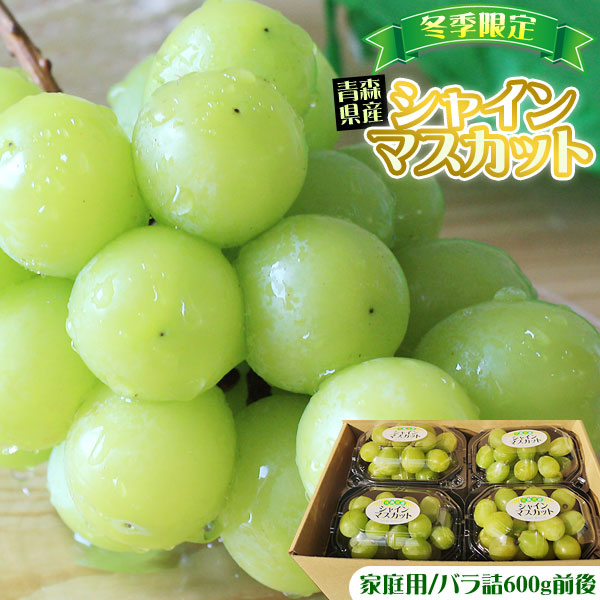 青森県産 【ぶどう シャインマスカット バラ詰600g前後(150g×4パック)】家庭用 送料無料 種無し マスカット[※産地直送のため同梱不可]