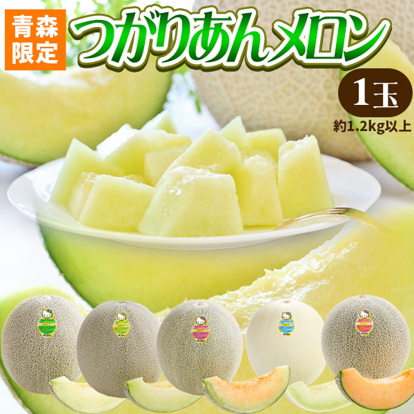 青森県産【つがりあん メロン 1玉 約1.2Kg以上】 L-2Lサイズ 送料無料 贈答用 青森のブランド めろん を産地直送 [※同梱不可・配送指定不可]