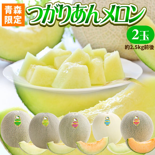 青森県産【つがりあん メロン 2玉 約2.5Kg前後】 L-2Lサイズ 送料無料 贈答用 青森のブランド めろん を産地直送 [※同梱不可・配送指定不可]