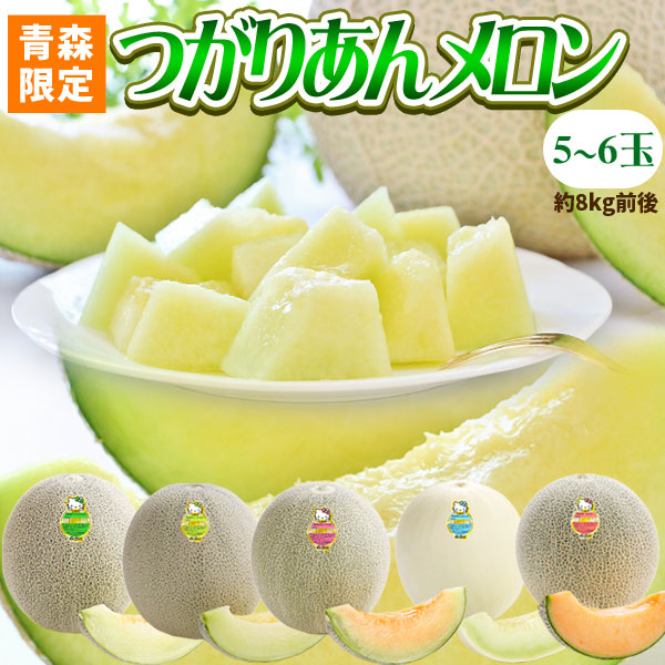 青森県産【つがりあん メロン 5～6玉 約8Kg前後】 L～2Lサイズ 送料無料 贈答用 青森のブランド めろん を産地直送 [※同梱不可・配送指定不可]
