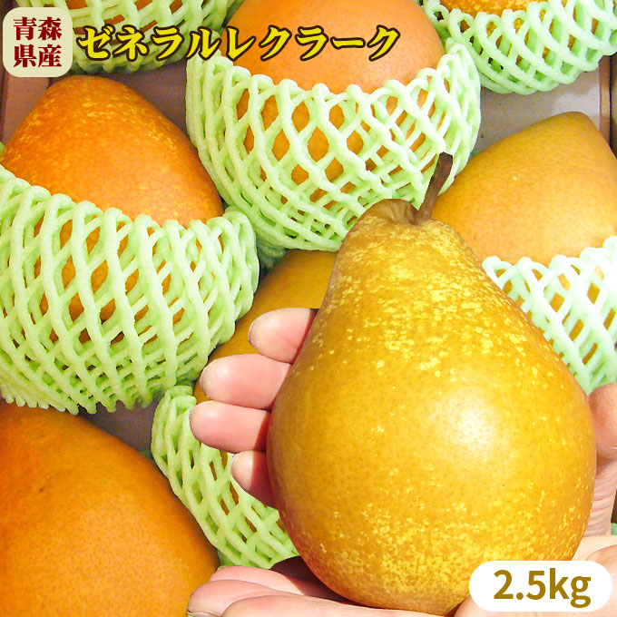 洋梨 送料無料 【青森県産洋梨 ゼネラルレクラーク2.5kg】（6-9玉入）洋梨 送料無料 ギフト 販売  [※産地直送のため同梱不可][※常温便]【お歳暮】