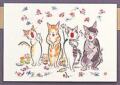 雨田絵ハガキセット お取り寄せ商品 引き出物 記念品 音楽雑貨 音符 ピアノモチーフ ト音記号 ピアノ雑貨