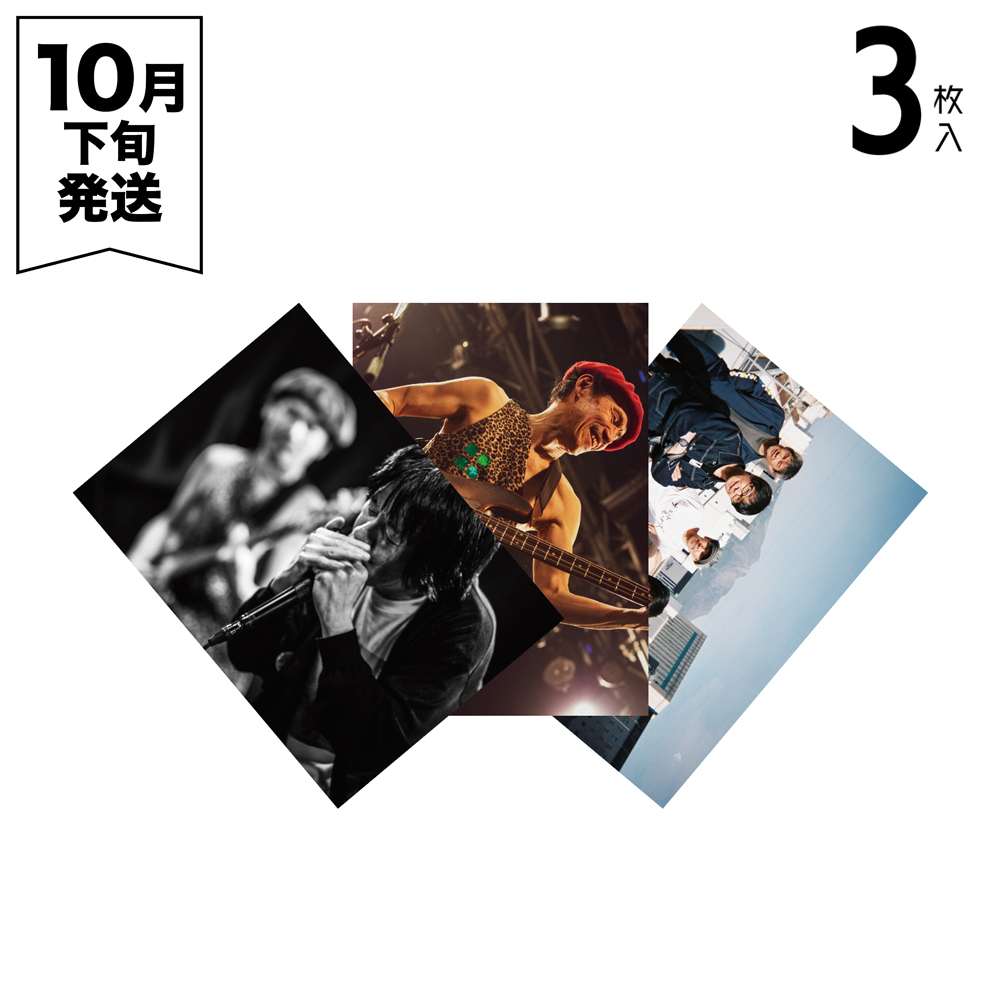 新品未使用！ フラワーカンパニーズ 日本武道館トレカ 全種あります！ 新品未使用！ フラワーカンパニーズ 日本武道館トレカ 全種あります