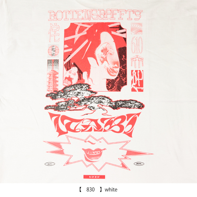 ROTTENGRAFFTY 】 わび T-shirt 《発送1月下旬予定》