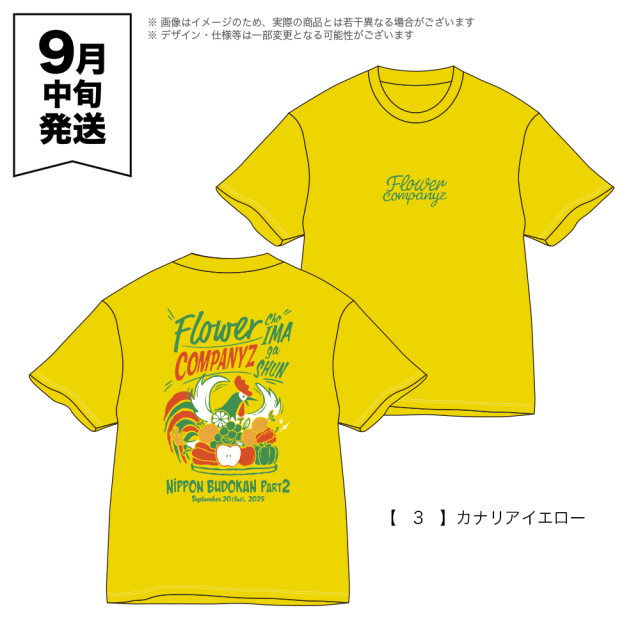 【お値下げしました】マルシィ　ガチャ　B賞　ファンTシャツ 武道館 Generic.014】Tシャツ SILK WHITE（オーイシ武道館 Vol.2 ～オー