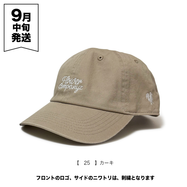 フラワーカンパニーズ　フラカン入門　初回限定盤 Amazon.co.jp: 新・フラカン入門(2008-2013) - フラワー