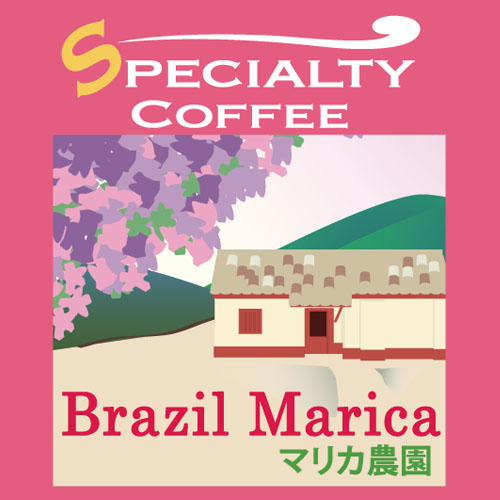 ブラジルマリカ　コーヒー豆