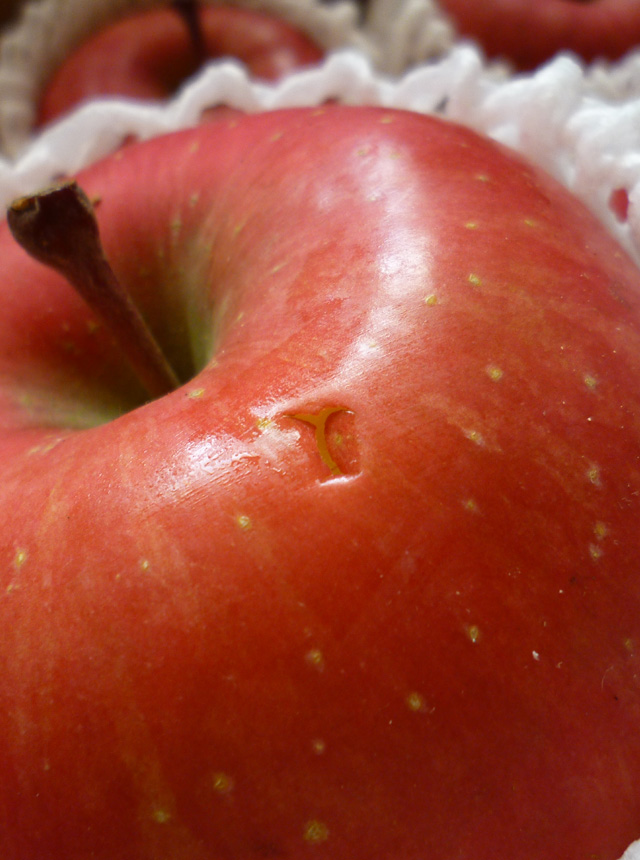 サンふじ　傷あり