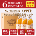 青森県産　無添加　りんごジュース　ＷＯＮＤＥＲ ＡＰＰＬＥ　１０００ｍｌ　６本
