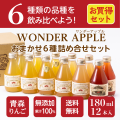青森県産　無添加　りんごジュース　ＷＯＮＤＥＲ ＡＰＰＬＥ １８０ｍｌ　１２本入れ【お中元】