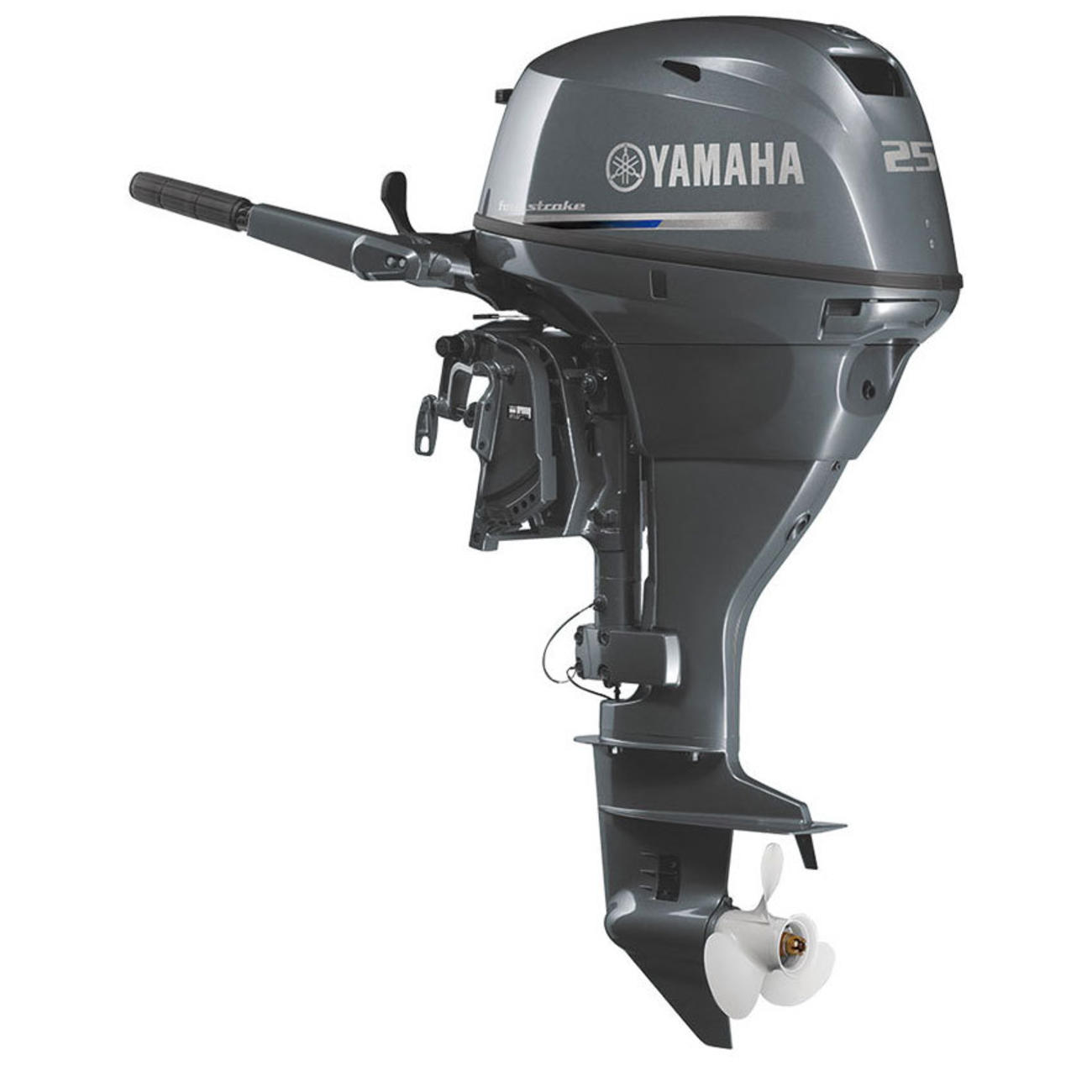 F25D ４ストローク２５馬力船外機 トランサムX ハイスラスト-3