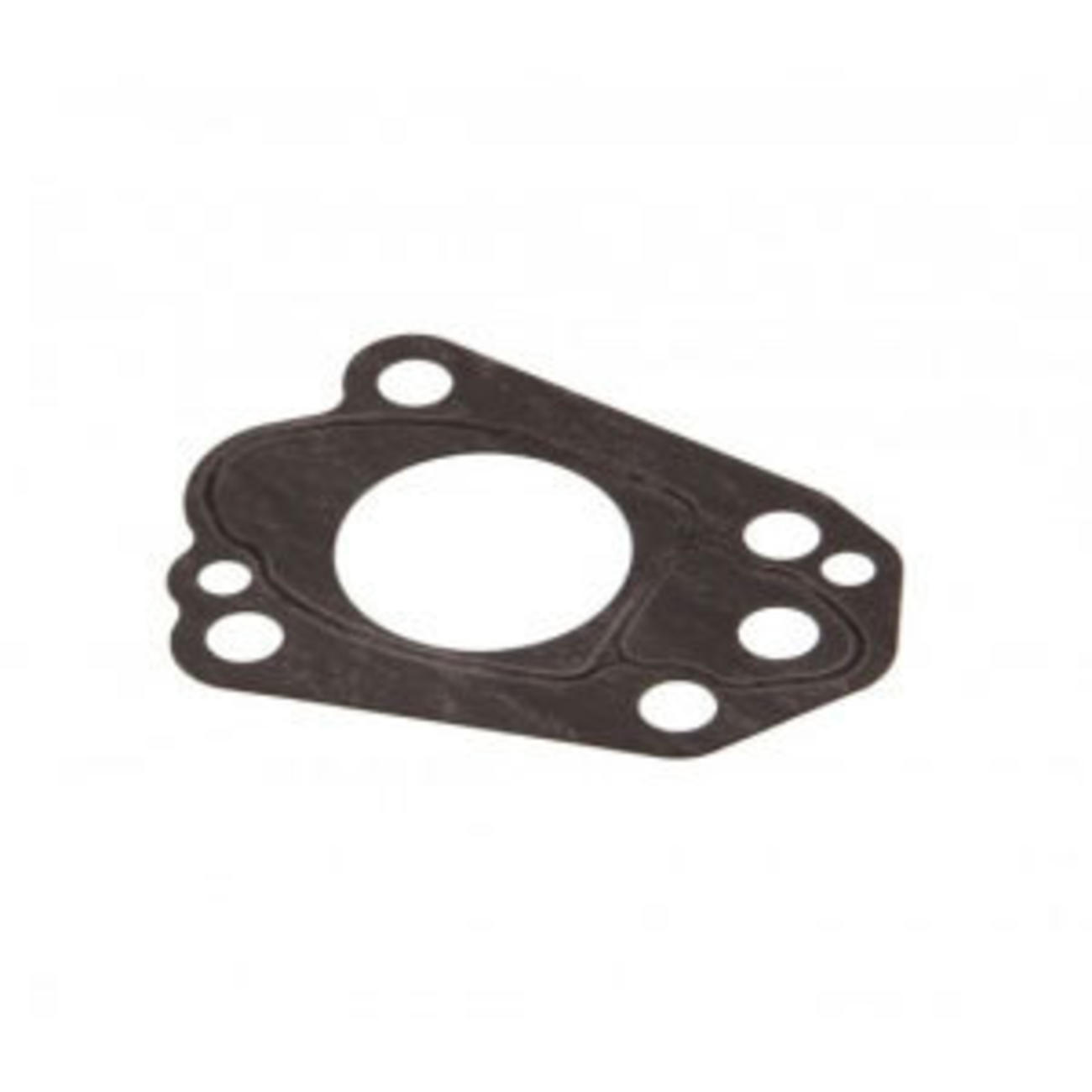 ガスケット ポンプケースパネル DF2 ('06-'11)-3