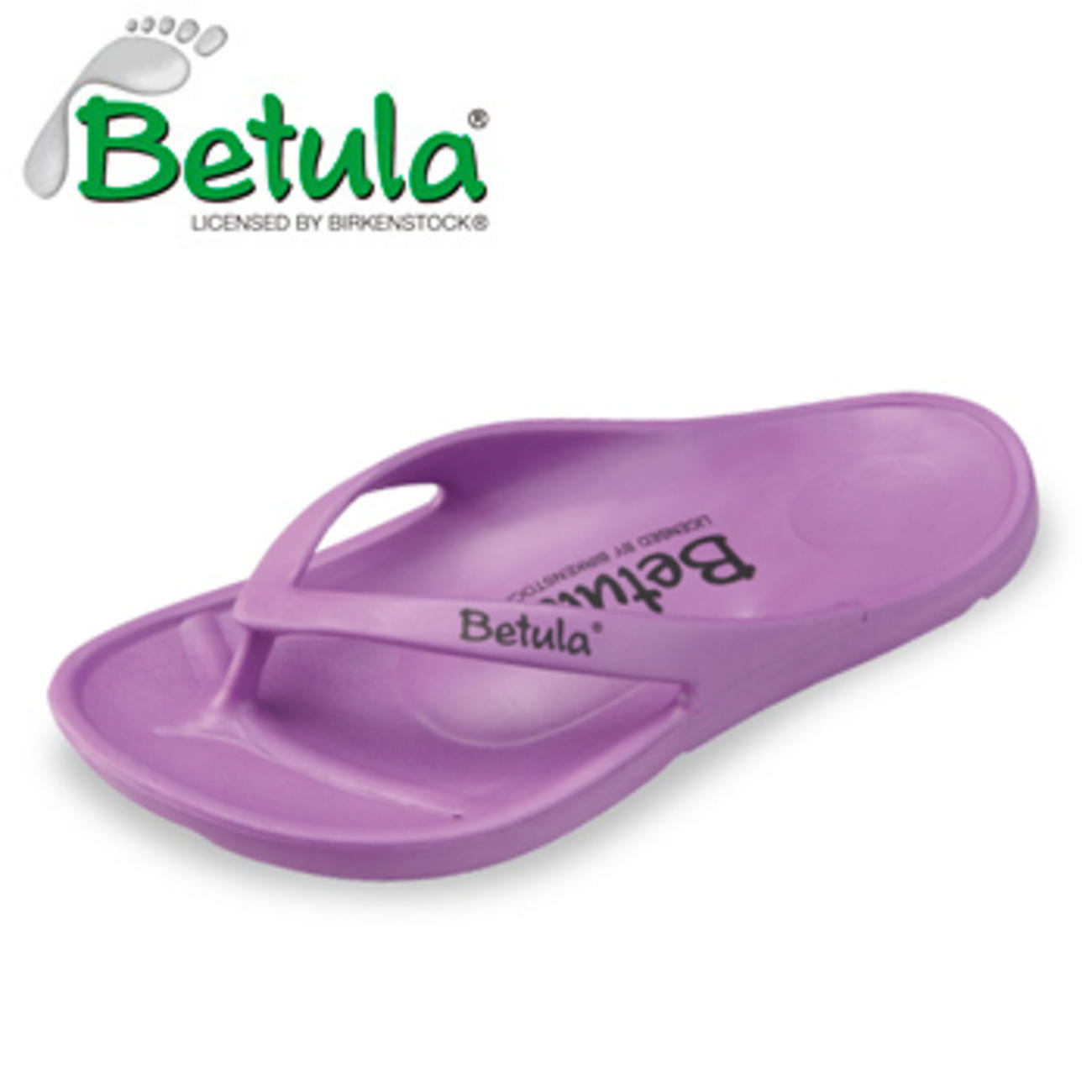 Betula エナジー(Energy) PURPLE-3