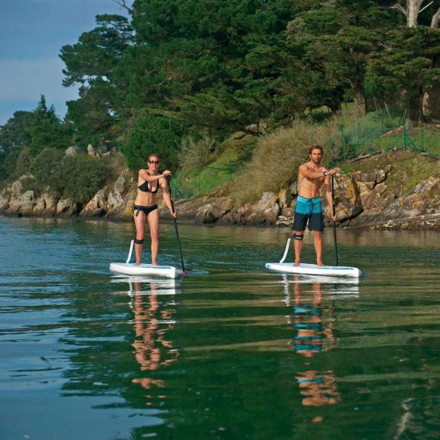 11'0'' Wing ACE-TEC SUP -5