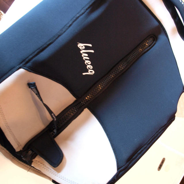 Batsugun PFV-10