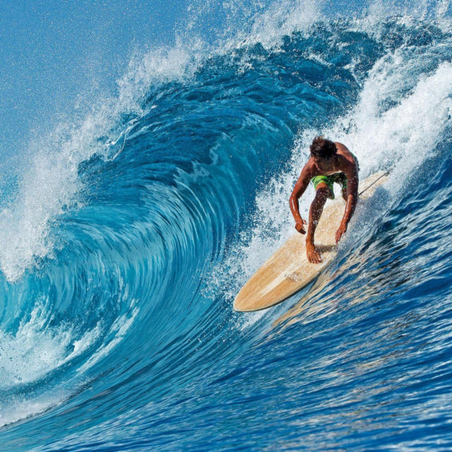 (展示品) EARTH Surf 6’8 Bonzer-8