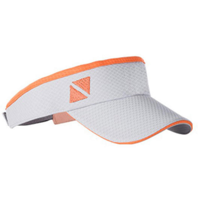 Tech Sunvisor-4