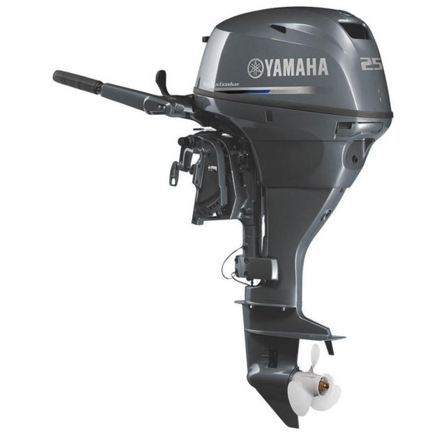 F25D ４ストローク２５馬力船外機 トランサムX ハイスラスト-3