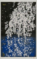 中島千波『桜花春映』