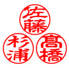 電子印鑑 個人苗字タイプ 3個セット [H14460]