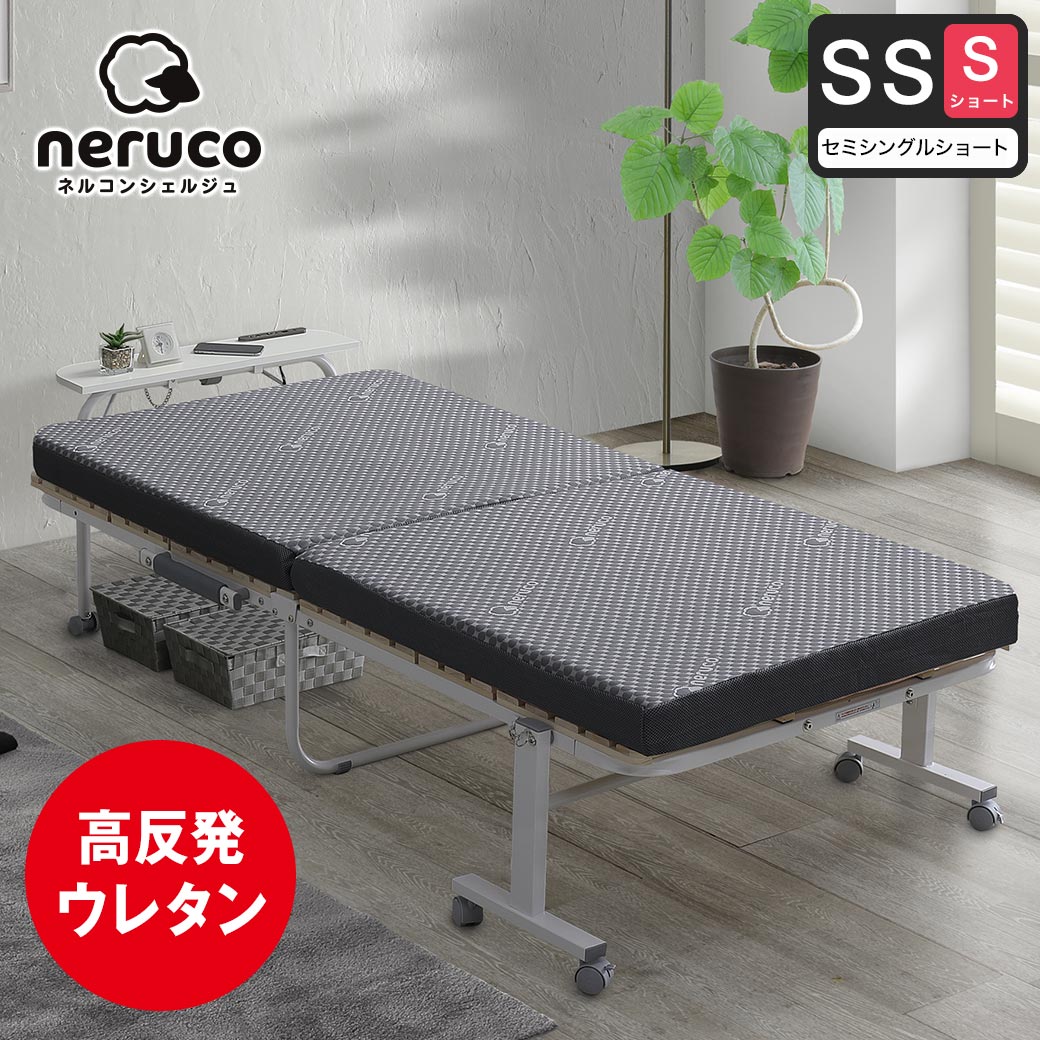 14013530.jpg?t=20241108113142