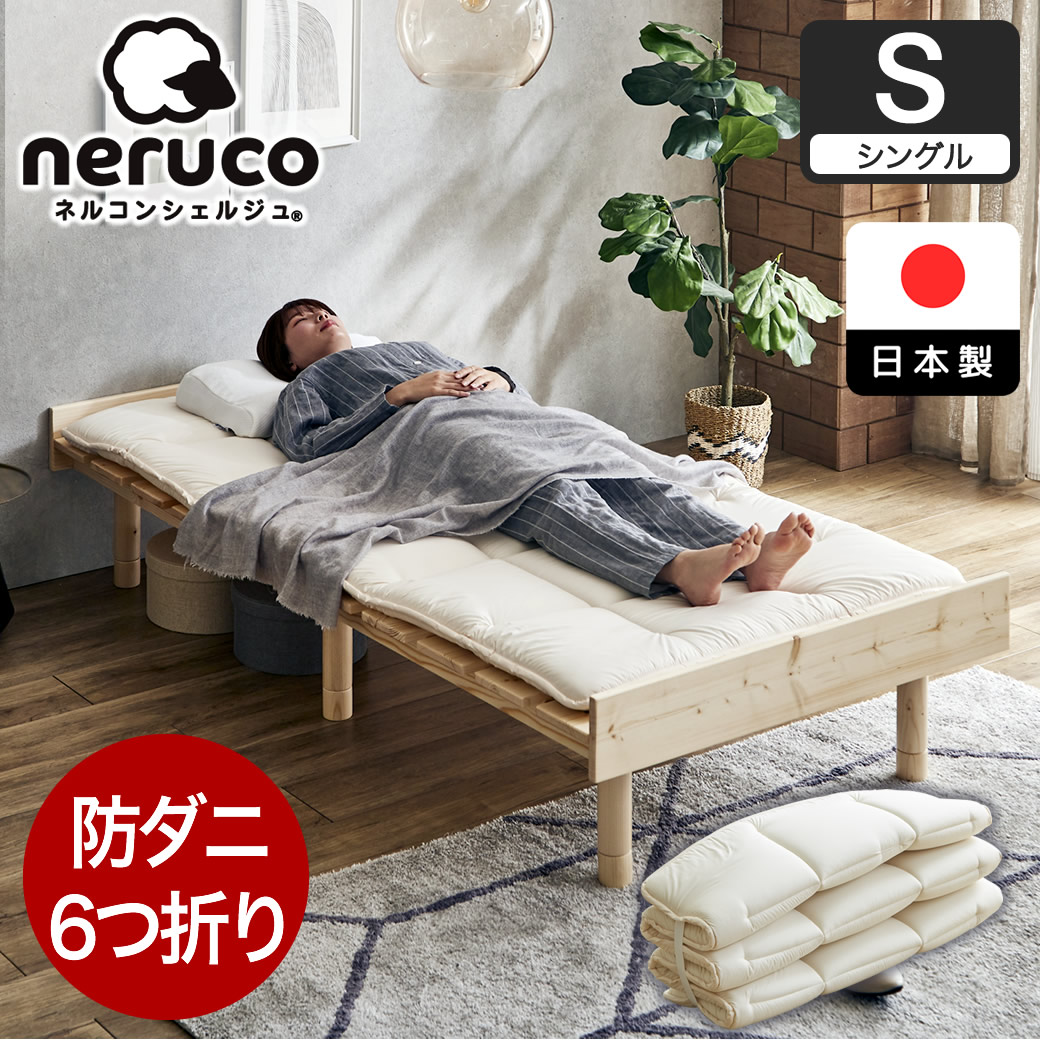 14013632.jpg?t=20241210093944