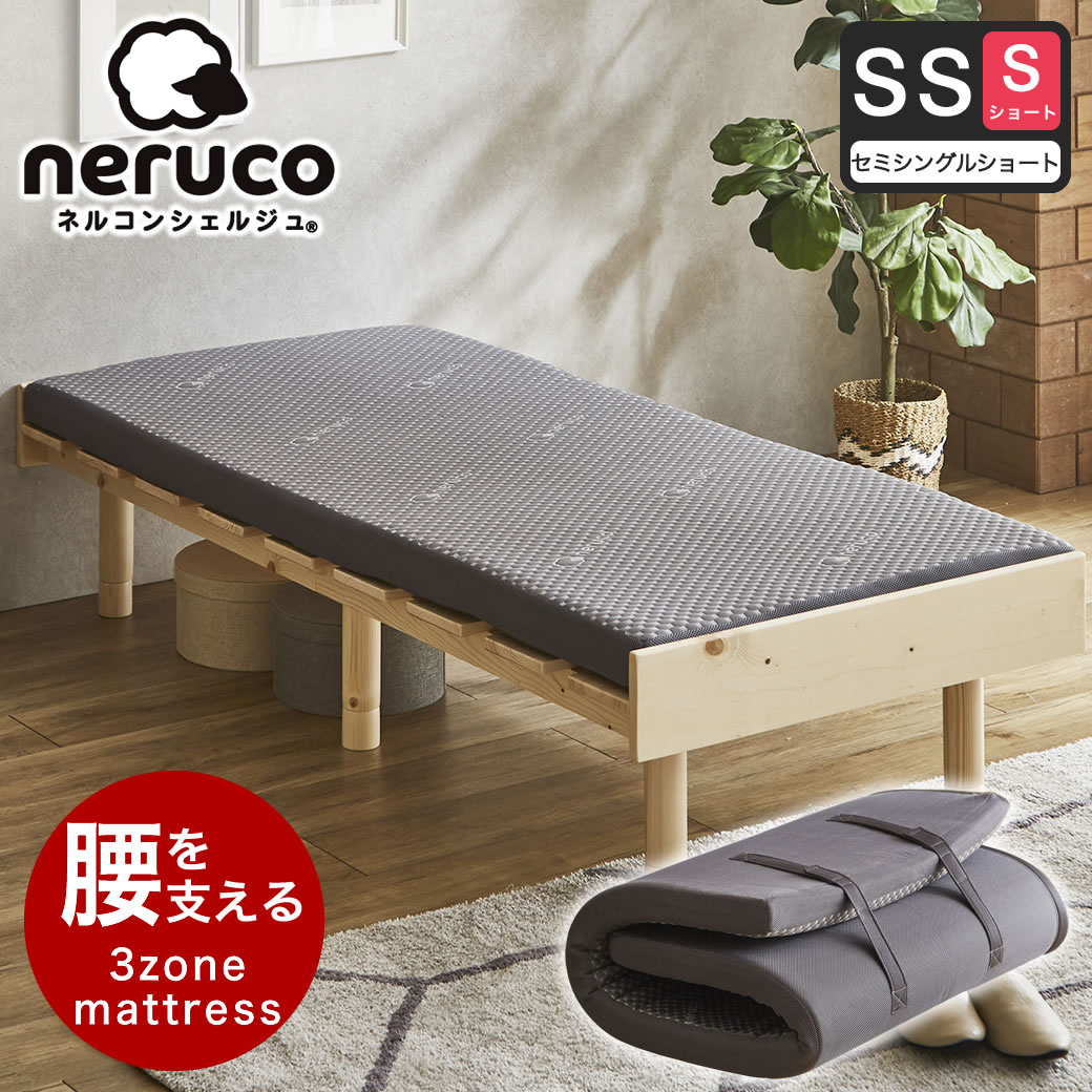 14013649.jpg?t=20241219143239